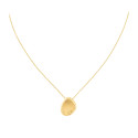 Collar de acero dorado y circonitas CALVIN KLEIN