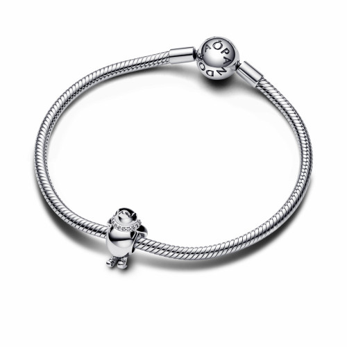 Charm Pingüino Esquiador