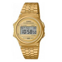 Casio Vintage Roun