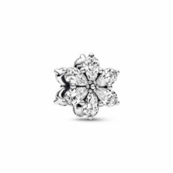Pandora Charm Herbario Brillante 792623C01