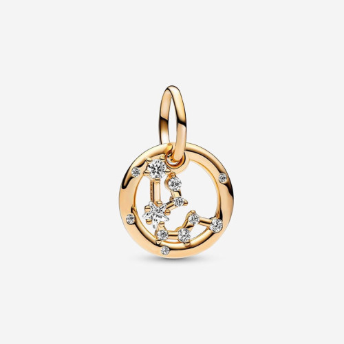 Charm Colgante Zodiaco Acuario