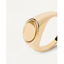 PDPAOLA Anillo Stamp Gold - AN01-628