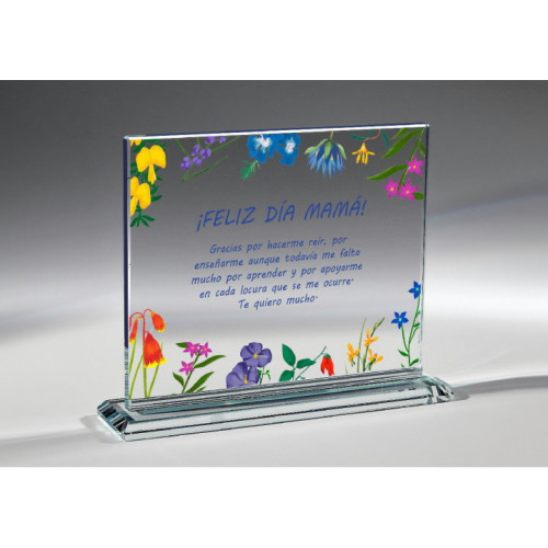 Placa Cristal Personalizada a Color - P-3005