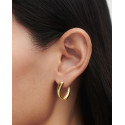 Aros Helix PDPAOLA