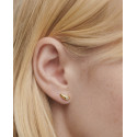 Pendientes Serena PDPAOLA