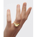 Anillo Dolphin PDPAOLA - AN01-D50