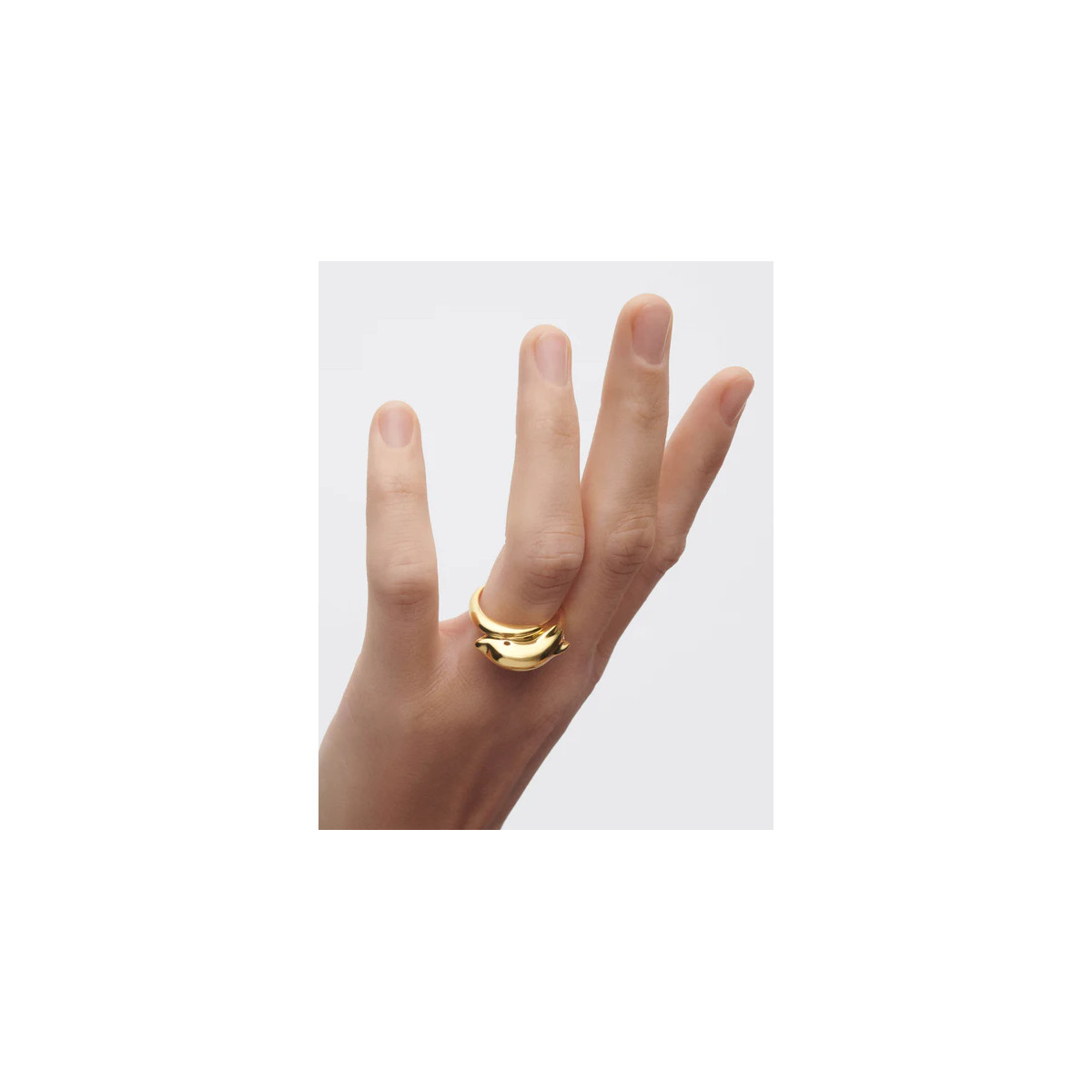Anillo Dolphin PDPAOLA - AN01-D50