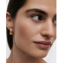 Aros Mini Dolphin PDPAOLA