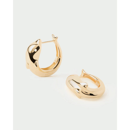 Aros Mini Dolphin PDPAOLA