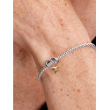 Charm Estrella y Corazón de la Suerte