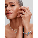Charm Estrella y Corazón de la Suerte