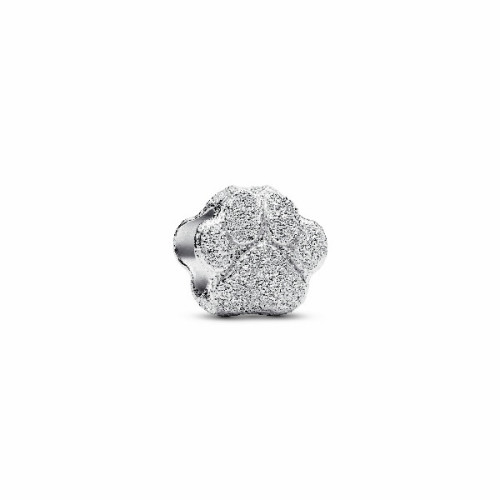 Charm Mini Huella TexturaPANDORA
