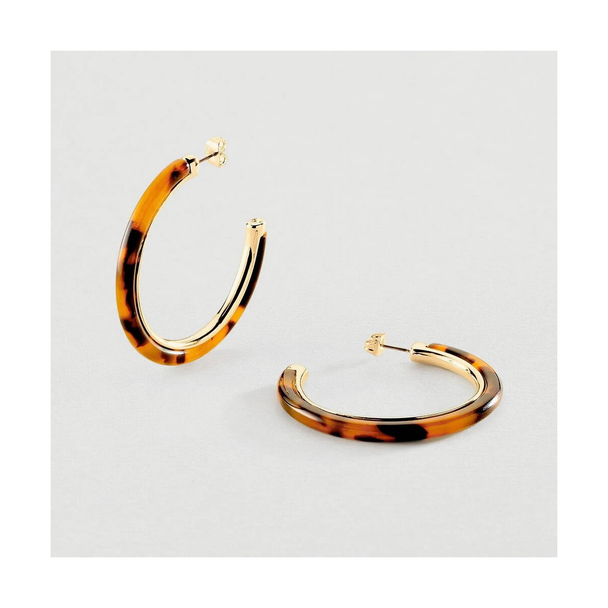 Criollas Royal AGATHA PARIS