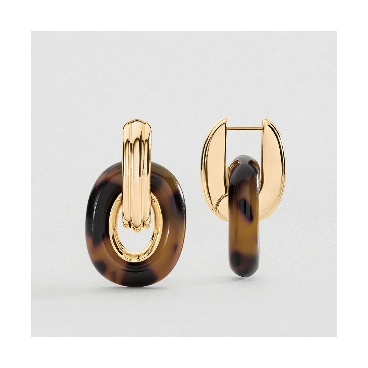 Criollas Royal AGATHA PARIS