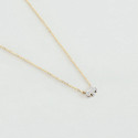 Collar Dog AGATHA PARIS
