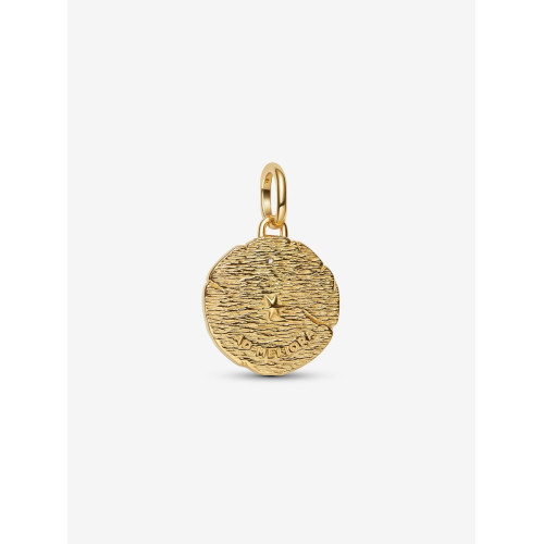 Charm Medallón y Flechas CruzadasPANDORA