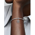 Pandora Charm 18
